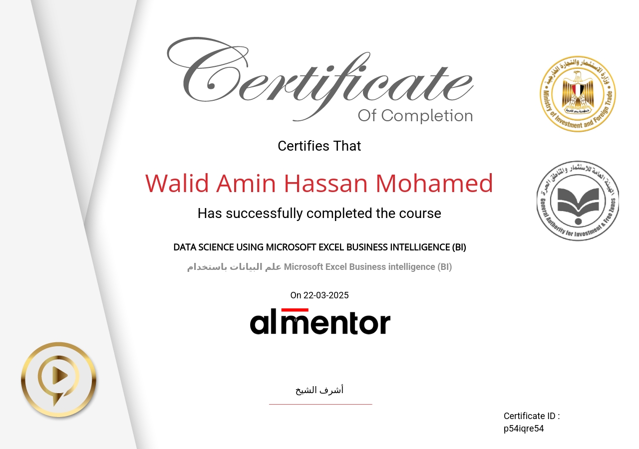 علم البيانات باستخدام Microsoft Excel Business intelligence (BI)