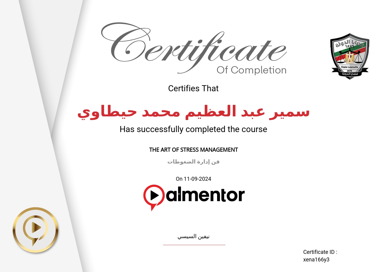 فن إدارة الضغوطات