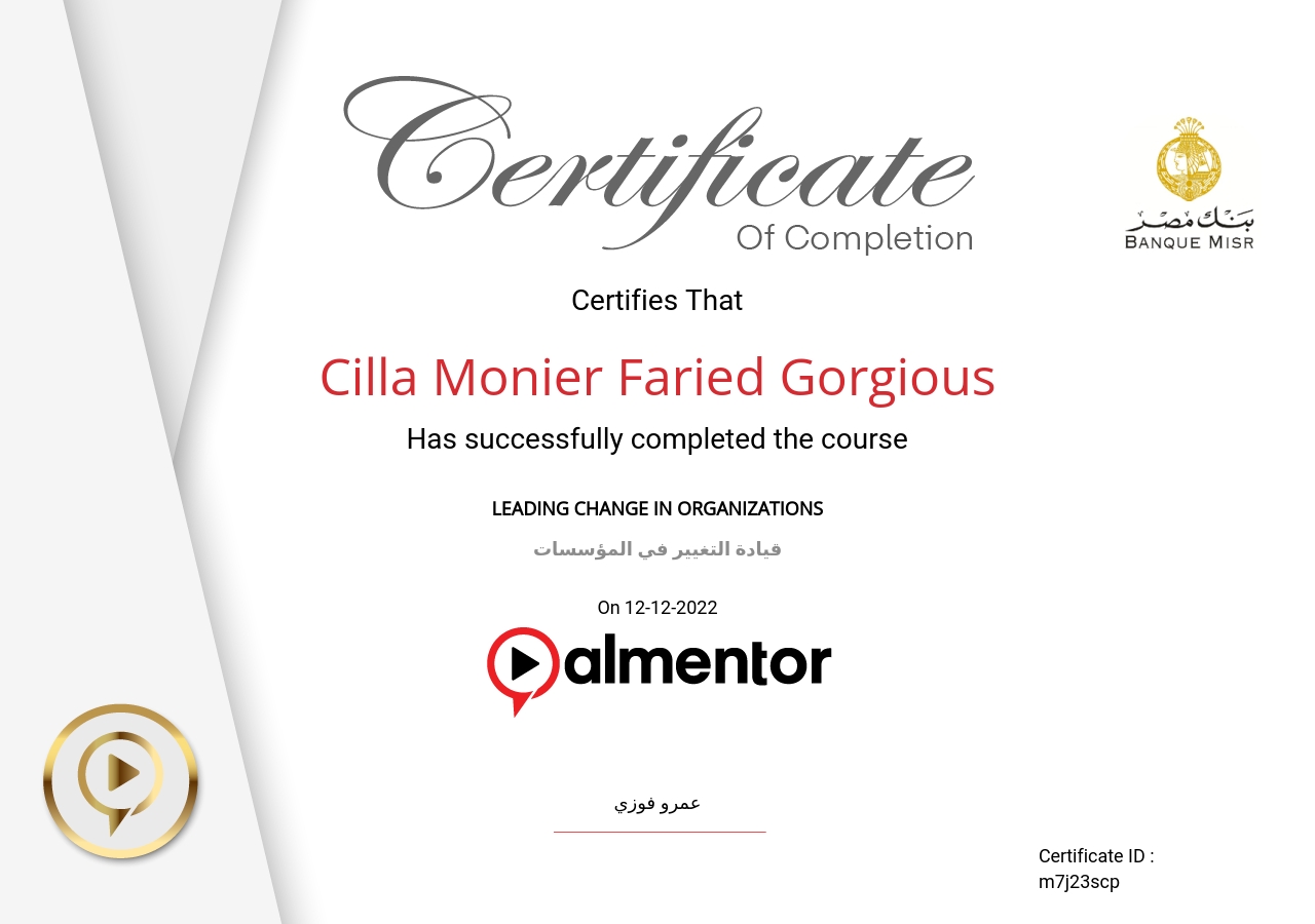 قيادة التغيير في المؤسسات