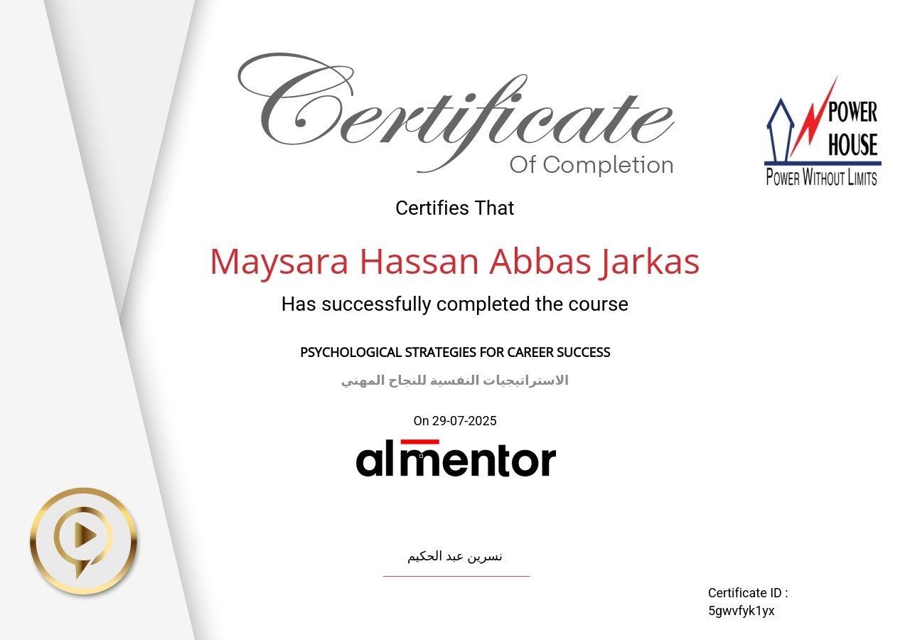 الاستراتيجيات النفسية للنجاح المهني