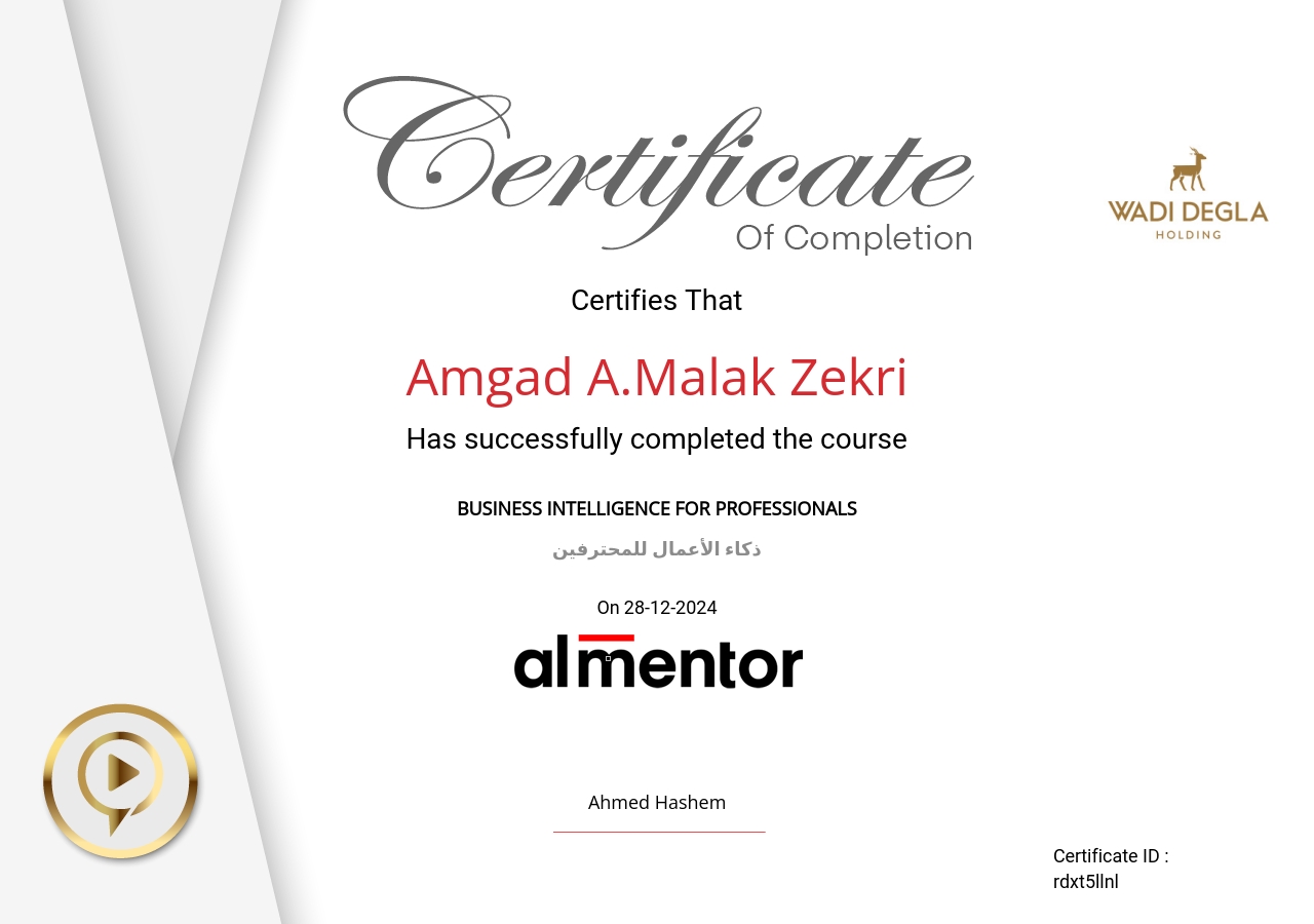 ذكاء الأعمال للمحترفين