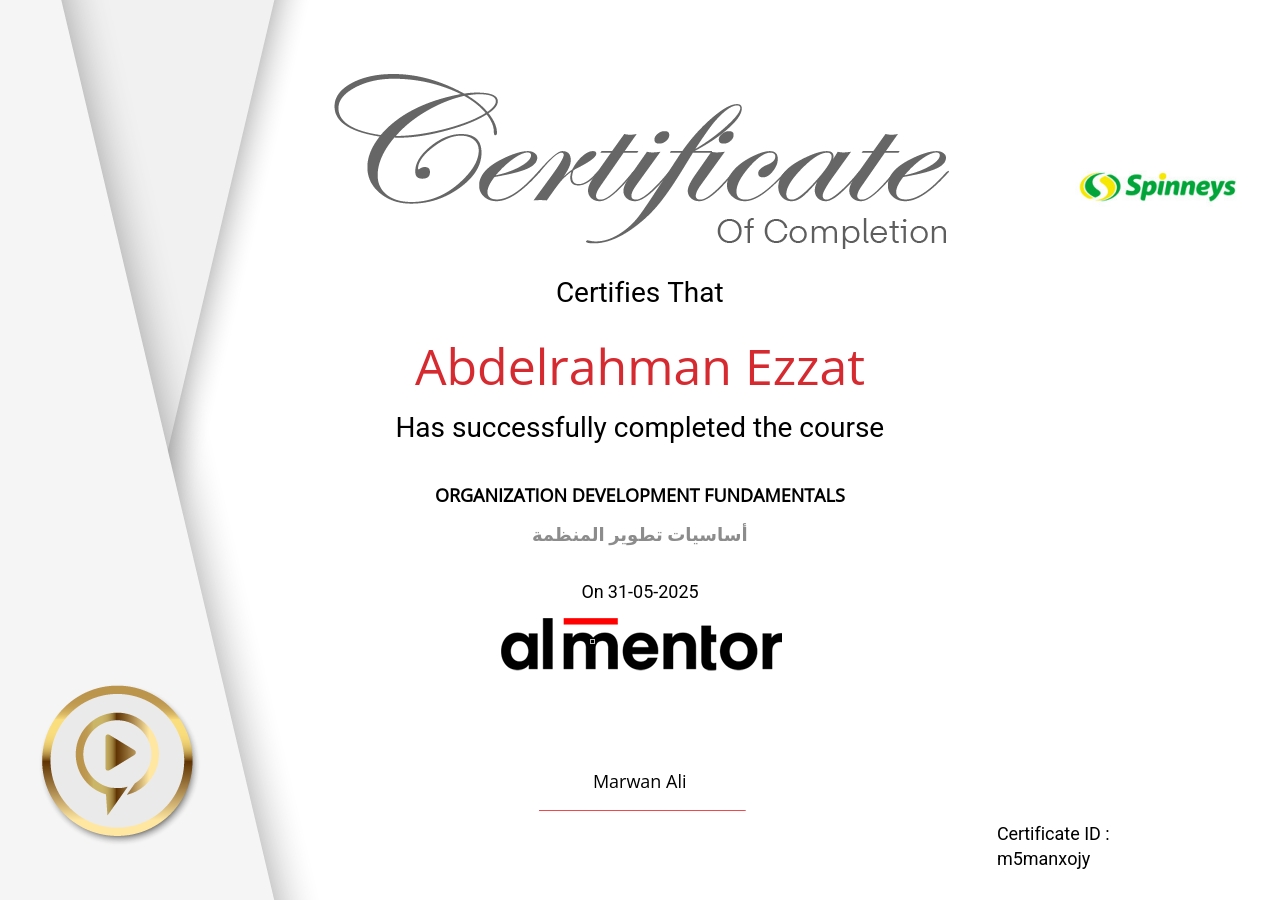 أساسيات تطوير المنظمة