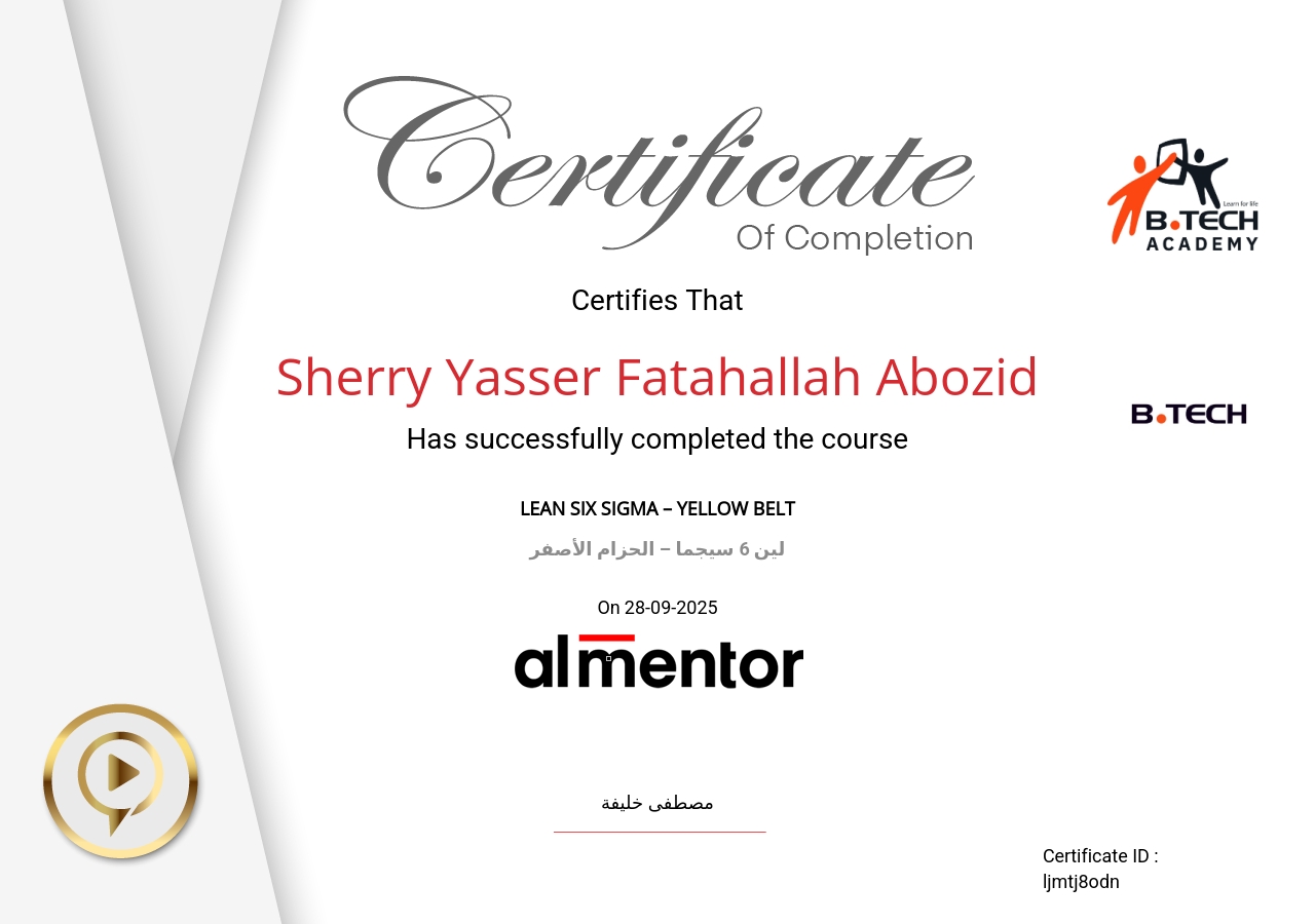 لين 6 سيجما – الحزام الأصفر