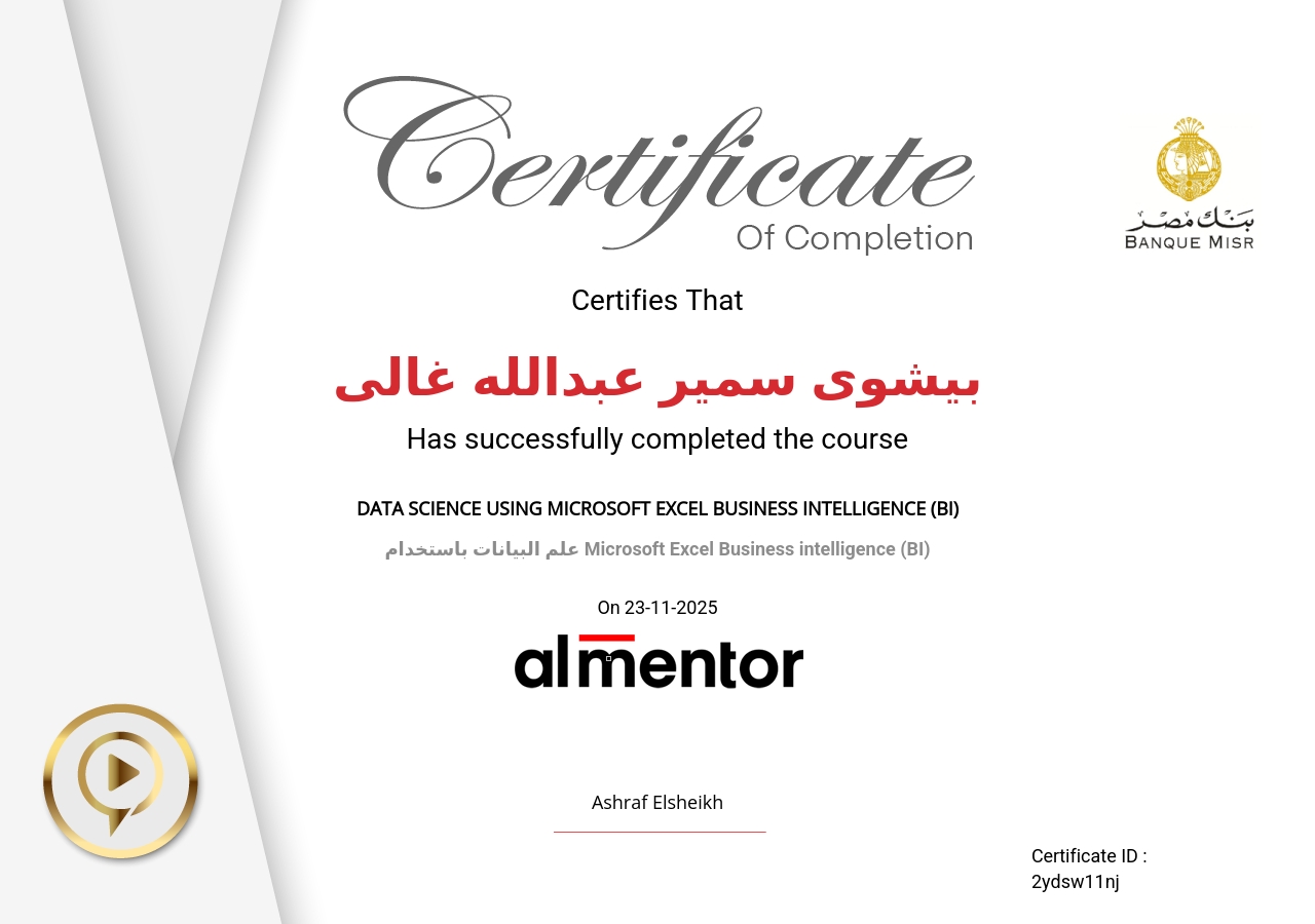 علم البيانات باستخدام Microsoft Excel Business intelligence (BI)