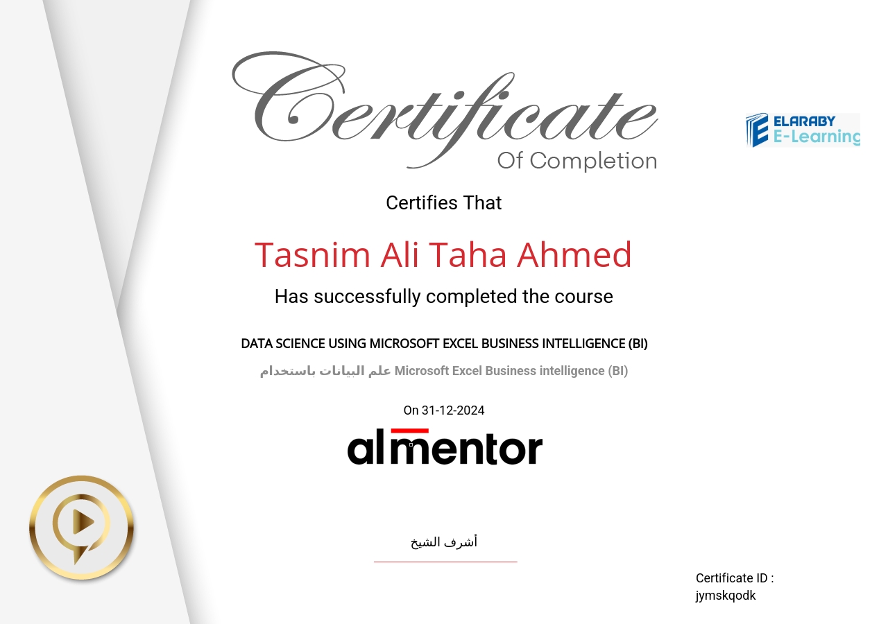 علم البيانات باستخدام Microsoft Excel Business intelligence (BI)