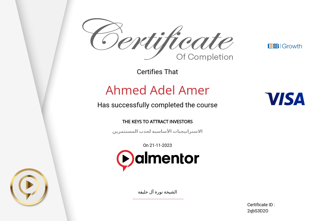 الاستراتيجيات الأساسية لجذب المستثمرين