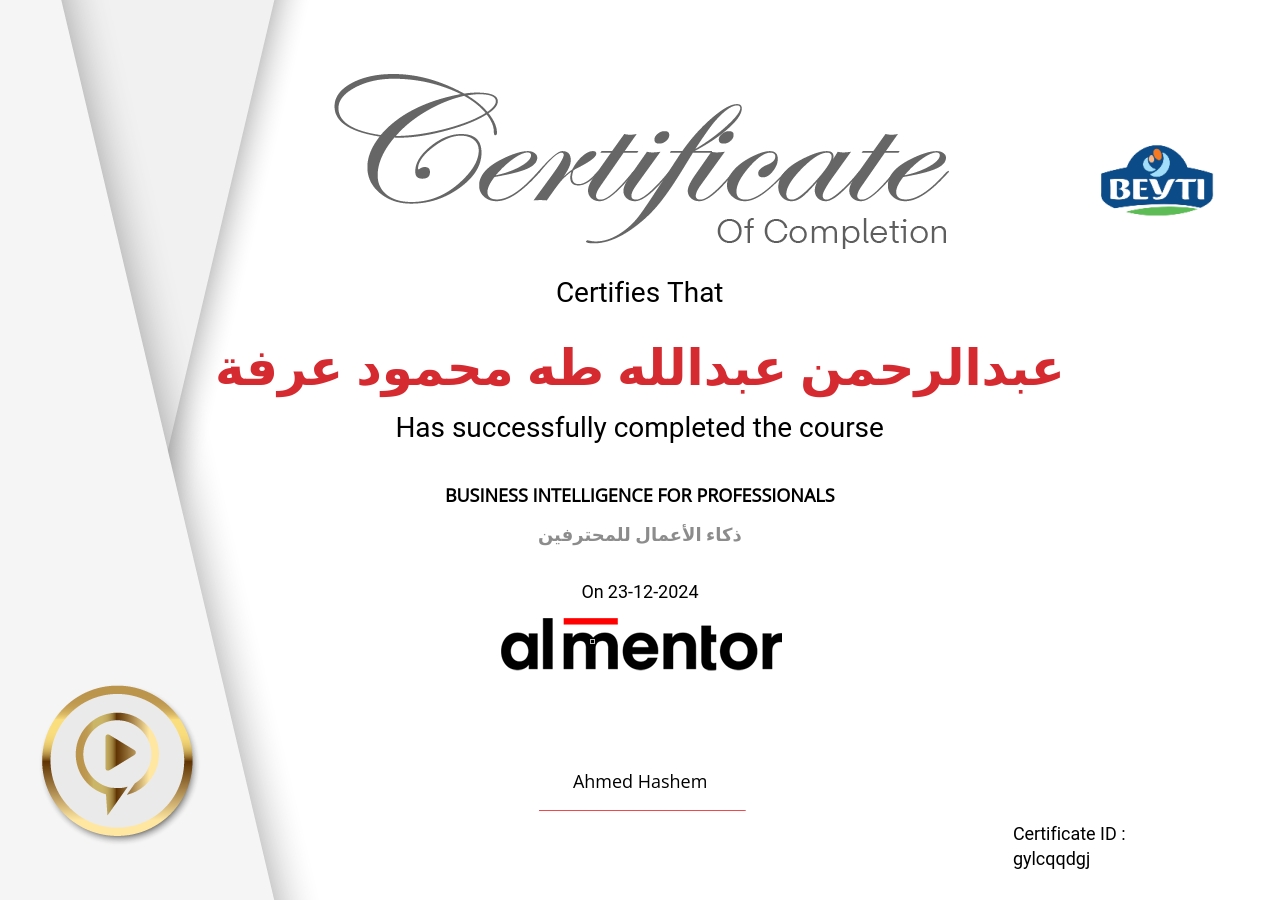 ذكاء الأعمال للمحترفين