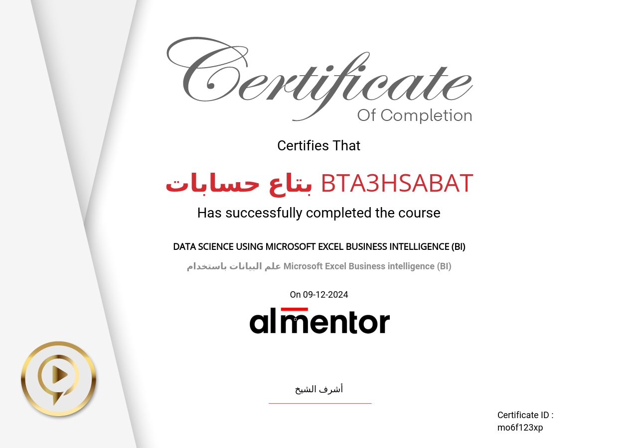 علم البيانات باستخدام Microsoft Excel Business intelligence (BI)