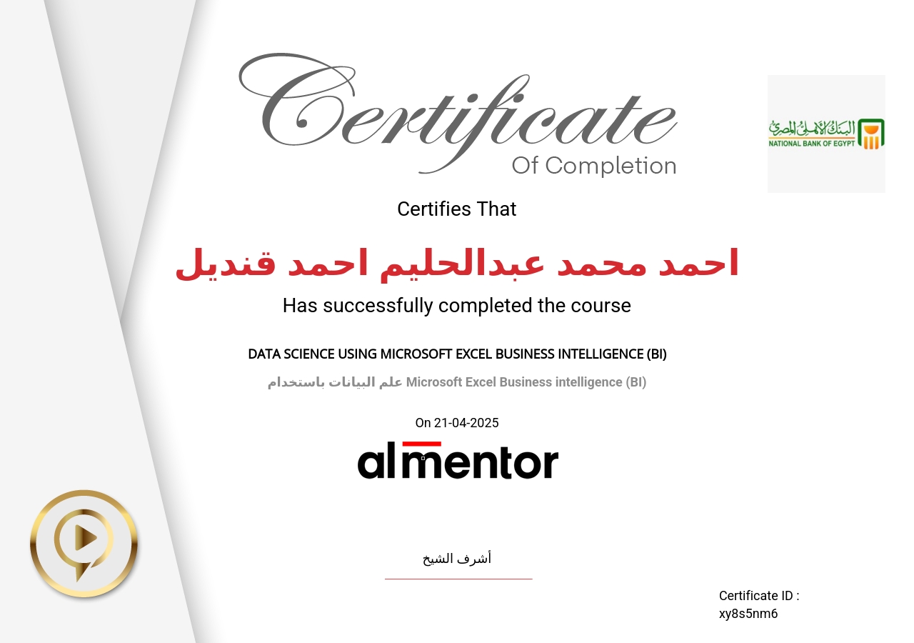 علم البيانات باستخدام Microsoft Excel Business intelligence (BI)