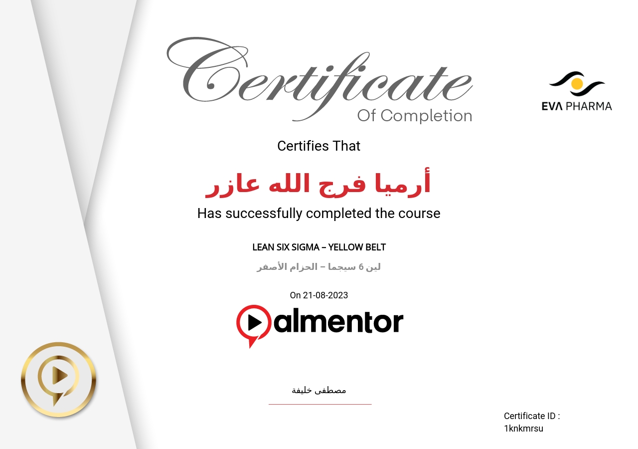 لين 6 سيجما – الحزام الأصفر