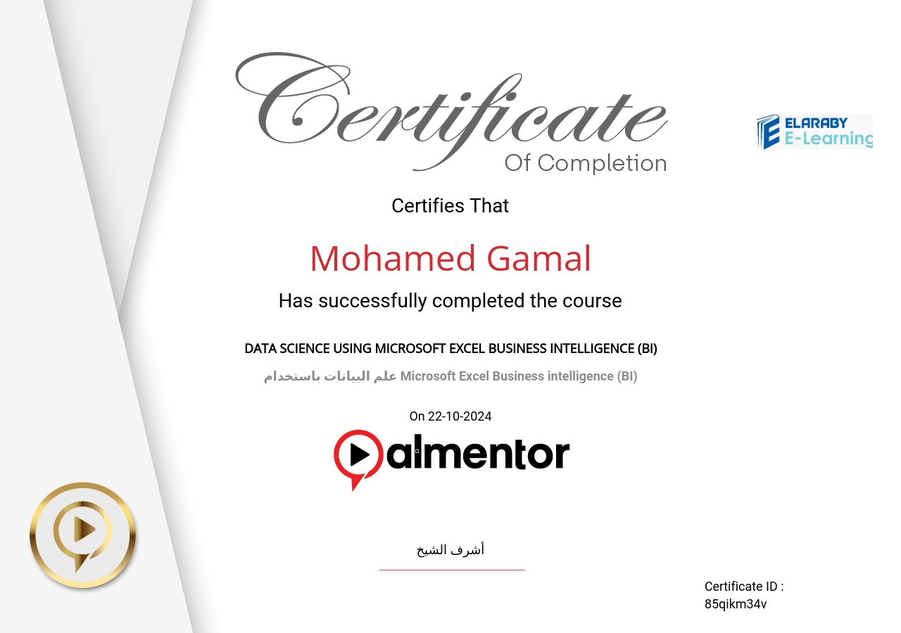 علم البيانات باستخدام Microsoft Excel Business intelligence (BI)
