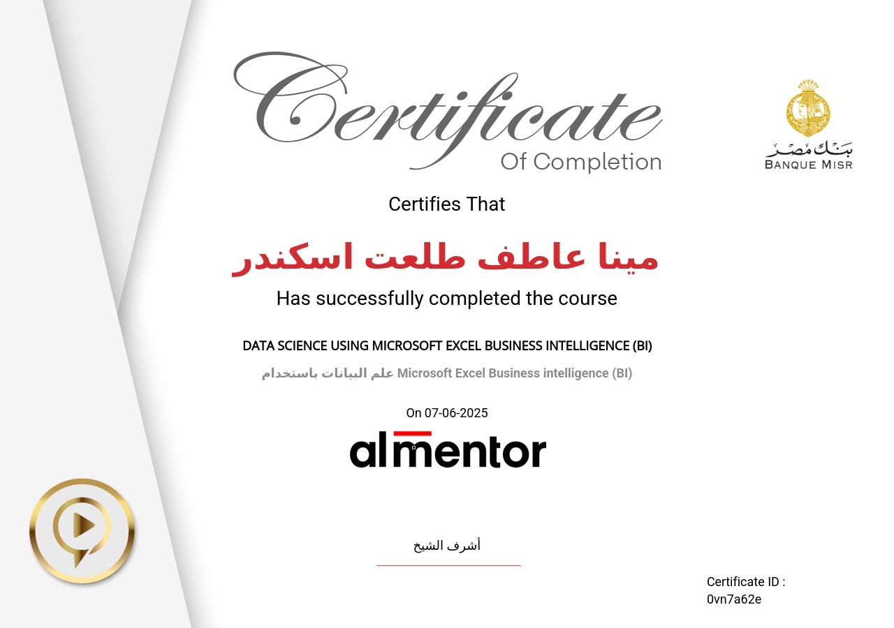 علم البيانات باستخدام Microsoft Excel Business intelligence (BI)