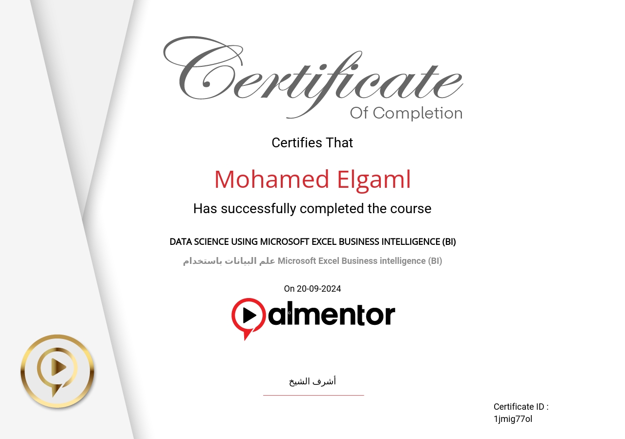 علم البيانات باستخدام Microsoft Excel Business intelligence (BI)