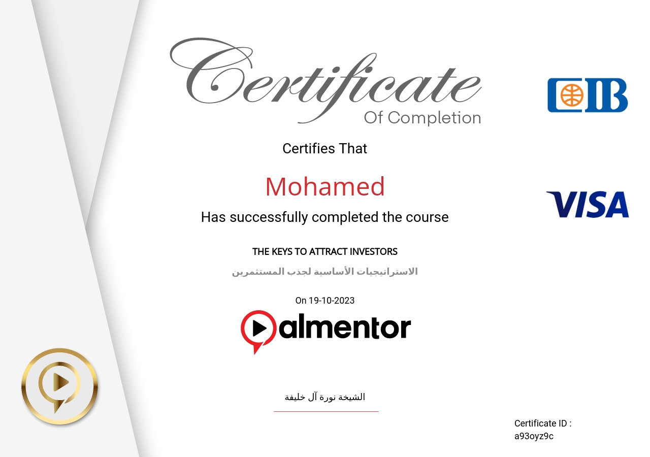 الاستراتيجيات الأساسية لجذب المستثمرين